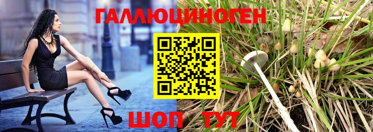 Псилоцибиновые грибы MAGIC MUSHROOMS  Вход с VPN  магазин  наркотиков  Апатиты 